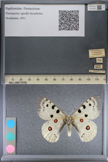 Media type: image;   Entomology 197057